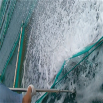 水射流技術(shù)用于海參養(yǎng)殖網(wǎng)衣清洗