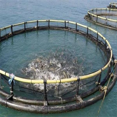 應(yīng)對夏季海生物生長迅速的海洋平臺(tái)養(yǎng)殖網(wǎng)箱清洗